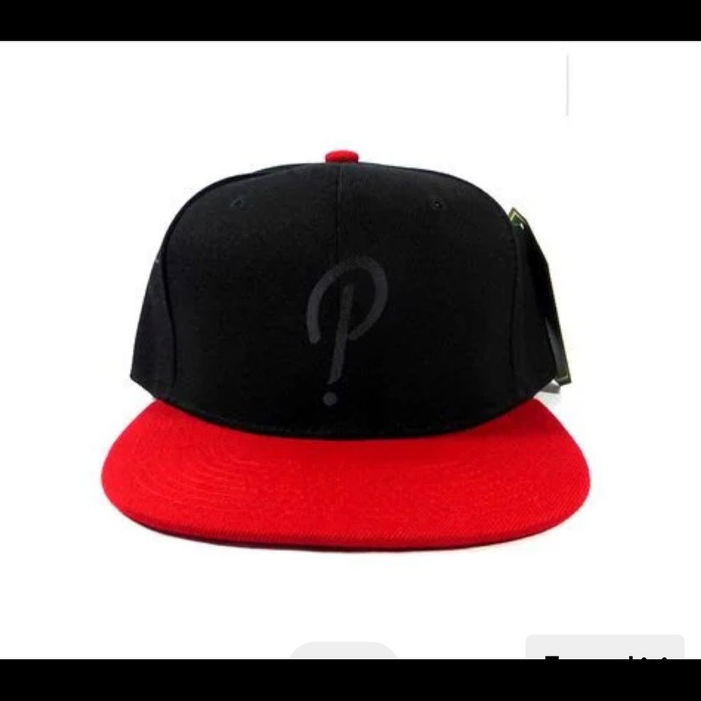 ISO!!(NOT FOR SALE)Panic at the Disco Snapback!